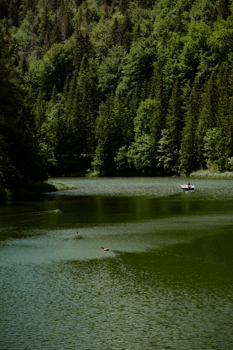 Sapanca Maşukiye Turu